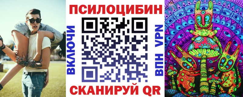кракен сайт  купить   Суджа  Псилоцибиновые грибы Cubensis 
